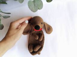 Personalized Brown Dachshund, Dog Puppy Gift, Dachshund Lover Pregnancy Gift Box