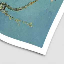 Almond Blossoms Art Print - thumbnail 3
