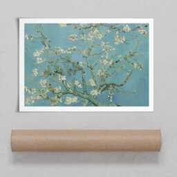 Almond Blossoms Art Print - thumbnail 4