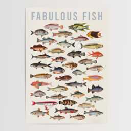 Fabulous Fish, Typography Print, Unframed, A1/A2/A3/A4/A5, Fun Quirky Vintage Fish Art, Childrens Nursery Art - thumbnail 1