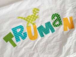 Personalized Kids Decor Personalized Pillow Case Applique Letters 320 Thread Count Satin