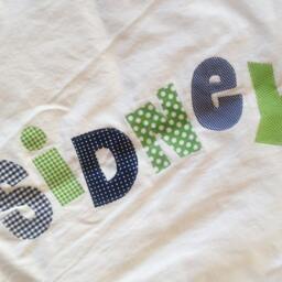 Personalized Kids Decor Personalized Pillow Case Applique Letters 320 Thread Count Satin - thumbnail 2