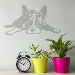 Boston Terrier Vinyl Wall Decal Dog Lover Gift - thumbnail 1