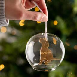 Personalised Memorial Pet Glass Dome Bauble - thumbnail 1