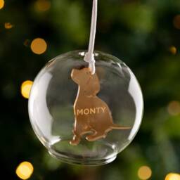Personalised Memorial Pet Glass Dome Bauble - thumbnail 2