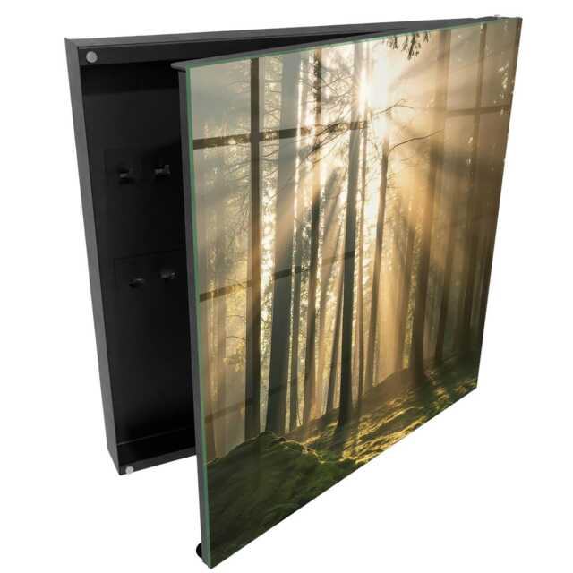 Forest Light Key Cabinet For Home, Green Box Wall, Photographic Nature, Lovers Of Nature & Silence - image 1