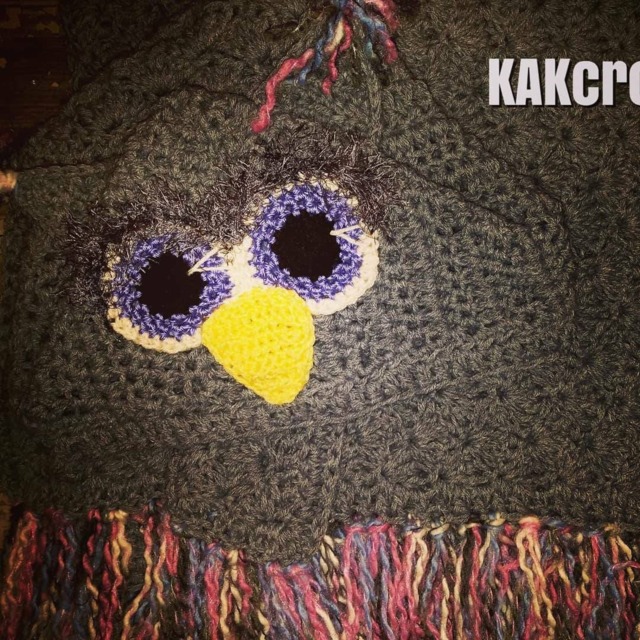 Crocheted Hooded Owl Blanket With Fringe Custom Colors - image 1