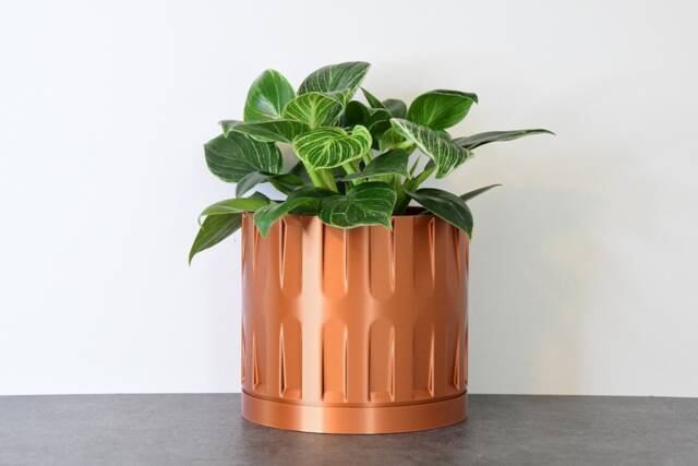 "Colosseum Planter With Drainage & Saucer in Copper, Unique 3D-Printed Plant Pot, Small To Large Sizes 4"" 5"" 6"" 7"" 8" - image 1