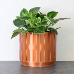 "Colosseum Planter With Drainage & Saucer in Copper, Unique 3D-Printed Plant Pot, Small To Large Sizes 4"" 5"" 6"" 7"" 8" - thumbnail 2