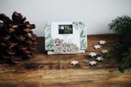 Card Holder For Business Cards, Postcards Or Letters - thumbnail 1