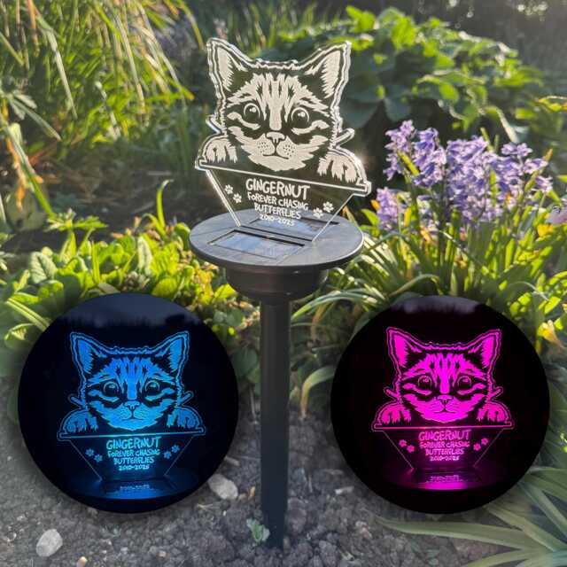 Personalised Memorial Pet Cat Led Garden Colour Changing Solar Light Stake - image 1