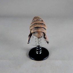 Flying Flea - thumbnail 4
