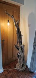 Driftwood Floor Lamp