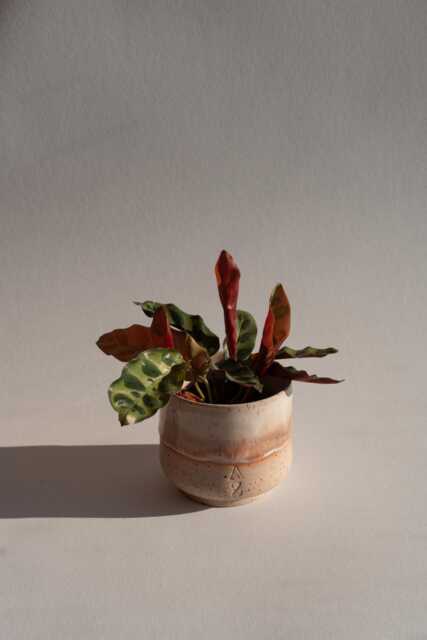 Handmade Flowerpot - Stoneware Minimalism - image 1