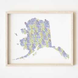 Alaska State Flower Map Watercolor Forget-Me-Not - Art Print Wall Graduation Wedding Anniversary Realtor Moving Gift Yukon - thumbnail 1