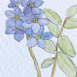 Alaska State Flower Map Watercolor Forget-Me-Not - Art Print Wall Graduation Wedding Anniversary Realtor Moving Gift Yukon - thumbnail 2