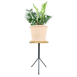 Tripod Design Table Frame Tripod Side Scandinavian Couch Coffee Chair Stool Solid Metal 25 Mm Wooden Top - thumbnail 3