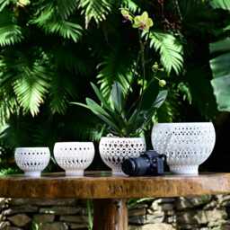 Om Orchid Pot - thumbnail 3