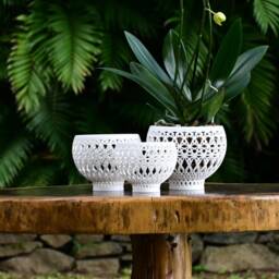 Om Orchid Pot - thumbnail 2