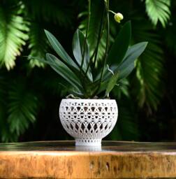 Om Orchid Pot - thumbnail 1