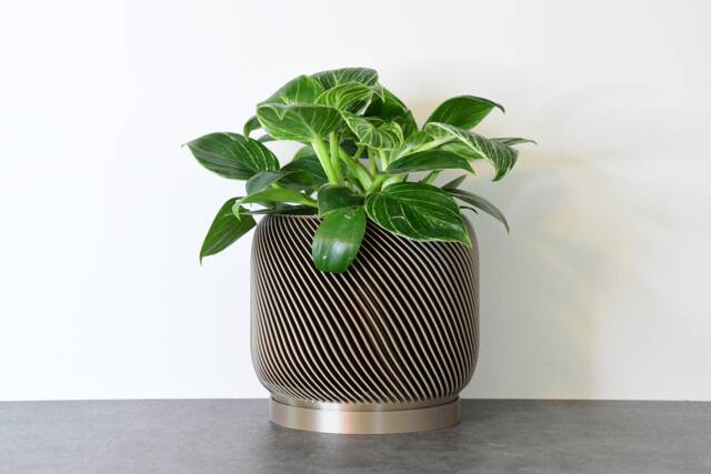 "Sierra Planter With Drainage & Saucer in Champagne Bronze, Unique 3D-Printed Plant Pot, Small To Large Sizes 4"" 5"" 6"" 7"" 8" - image 1