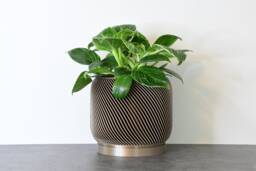 "Sierra Planter With Drainage & Saucer in Champagne Bronze, Unique 3D-Printed Plant Pot, Small To Large Sizes 4"" 5"" 6"" 7"" 8" - thumbnail 1