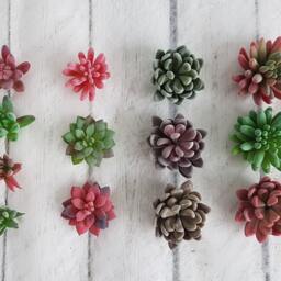 Artificial Succulents Succulent Plants Faux Fake Stems Favours Gifts - thumbnail 2