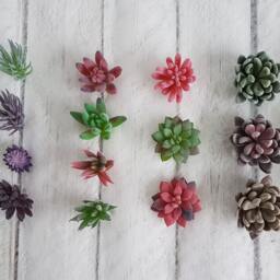 Artificial Succulents Succulent Plants Faux Fake Stems Favours Gifts - thumbnail 3