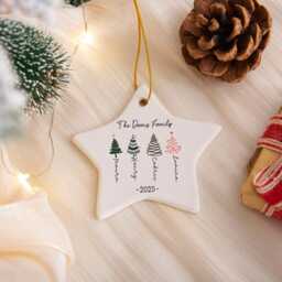 Personalised Christmas Bauble, 2025 Family Ornament, Famliy Tree Buable, Decoration, Keepsake, Xmas Gift - thumbnail 3