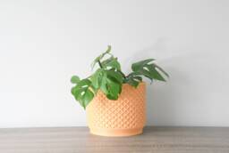 "Carolina Planter With Drainage & Saucer in Orange Sherbet, Lattice 3D-Printed Plant Pot, Small To Large Sizes 4"" 5"" 6"" 7"" 8" - thumbnail 1