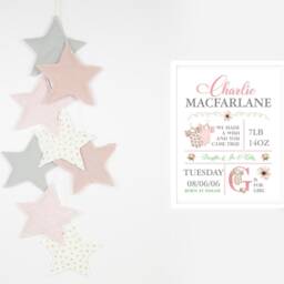 New Baby Girl Gift, Gift Personalised, Unframed Print, Christening Birth Details Stats Rose Nursery Decor - thumbnail 3