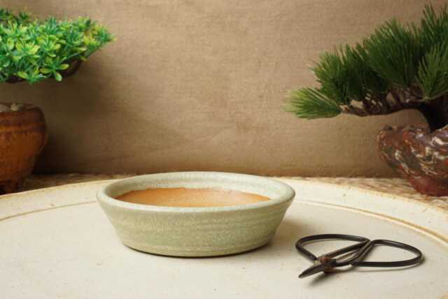 Handmade Green Mame Bonsai Pot. 10cm Diameter, 2.5cm High. G2486.1 - image 1