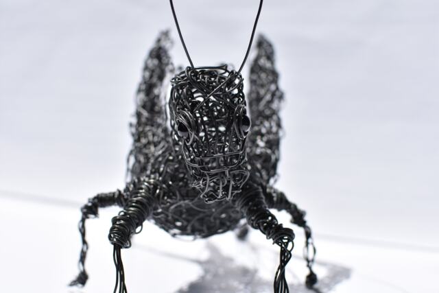 Wire Sculpture, Grasshopper, Father's Day Gift, Birthday Office Decor, Home Decor, Stand Art, Grasshopper, Floor, Steampunk Decor - image 1