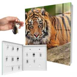 Tiger Resting Key Cabinet For Home, Orange Box Wall, Photographic Animals, Wildlife Lovers - thumbnail 2
