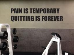 Wall Decal Gym Fitness Center, Pain Is Temporary Quitting Forever - thumbnail 1