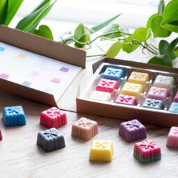 Oriental Wax Melts Selection Box With Recipe Card Melt Snap Bars 100% Natural Soy Wax Tea Light Candle Oil Burner Home Fragrance Gift - thumbnail 3