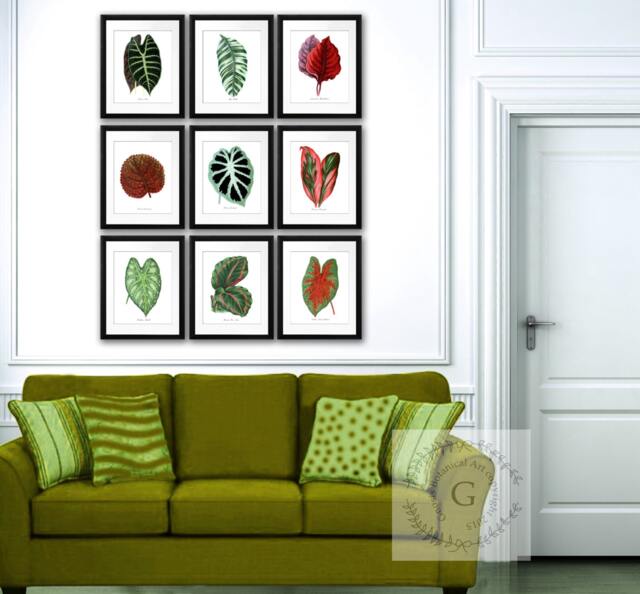 Tropical Leaf Art Prints, Botanical Illustration Wall Gallery Decor, Set Of 9 - image 1