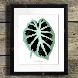 Tropical Leaf Art Prints, Botanical Illustration Wall Gallery Decor, Set Of 9 - thumbnail 3