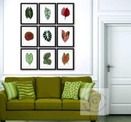 Tropical Leaf Art Prints, Botanical Illustration Wall Gallery Decor, Set Of 9 - thumbnail 1