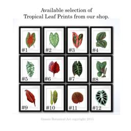 Tropical Leaf Art Prints, Botanical Illustration Wall Gallery Decor, Set Of 9 - thumbnail 2