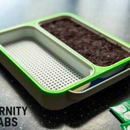 Desktop Micro Green Grower Garden(Seeds & Soil Not Included - thumbnail 3