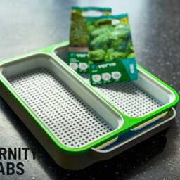 Desktop Micro Green Grower Garden(Seeds & Soil Not Included - thumbnail 2