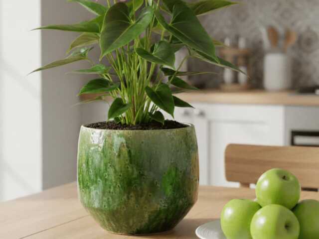 Green Marble Finish Ceramic Plant Pot, Harris Unique Design Planter, D16cm-D32cm - image 1