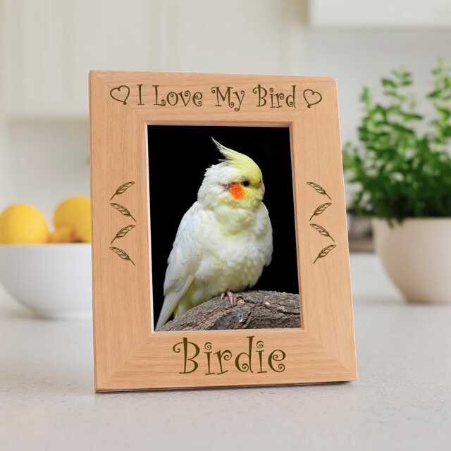 I Love My Bird Engraved Frame, Personalized Parrot Picture Gift, Custom African Grey Keepsake, Avian Mom Decor, Feather Holder - image 1
