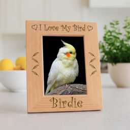I Love My Bird Engraved Frame, Personalized Parrot Picture Gift, Custom African Grey Keepsake, Avian Mom Decor, Feather Holder - thumbnail 1
