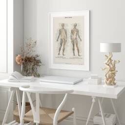 Human Body Poster, Musculature System Encyclopedia Print, Home Schooling Wall Art, Anatomy Chart Canvas, Medical Classroom Decor - thumbnail 2