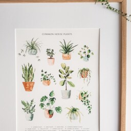 Watercolor House Plant Art Print Botanical Wall Decor - thumbnail 4