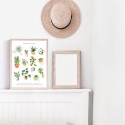 Watercolor House Plant Art Print Botanical Wall Decor - thumbnail 3