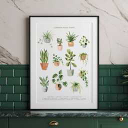 Watercolor House Plant Art Print Botanical Wall Decor - thumbnail 1