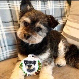 Pet Portrait Christmas Bauble, Memorial, Personlised Dog Cat Xmas Chrsitmas Decorations - thumbnail 2